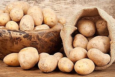 《阴阳师》宣布与TV动画《银魂》联动 4月26日开启